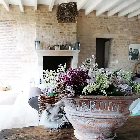 Gite La Maison De Lucien Meursault Exterior foto