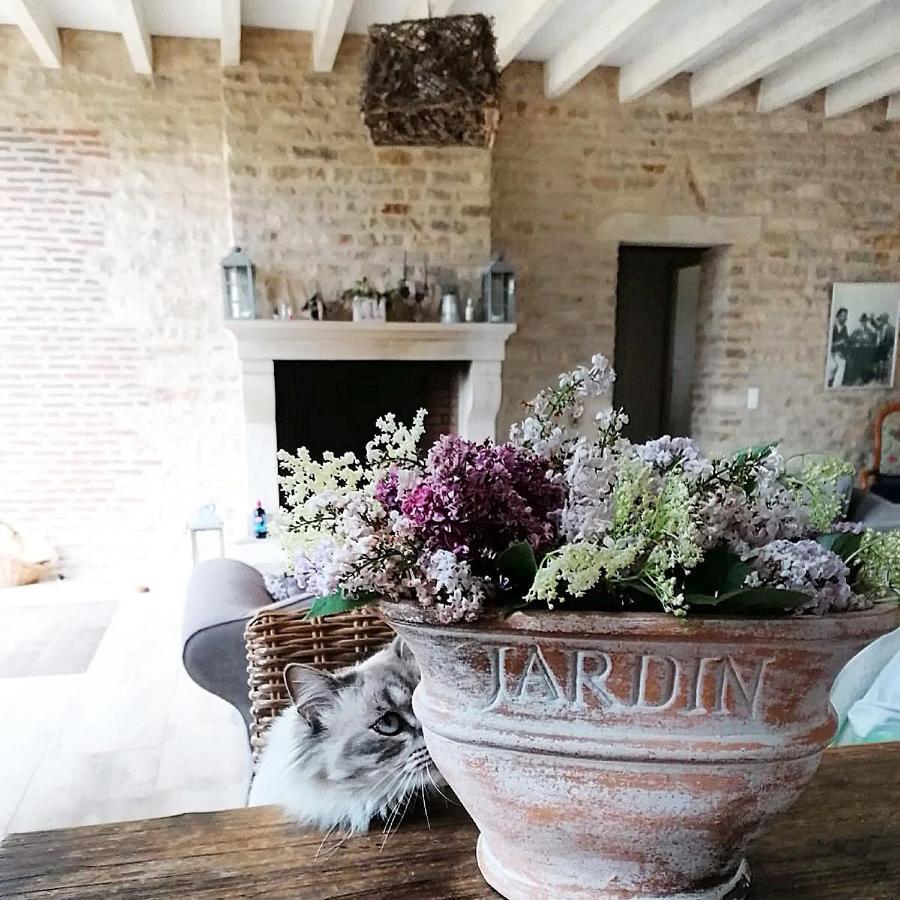 Holiday home La Maison De Lucien *